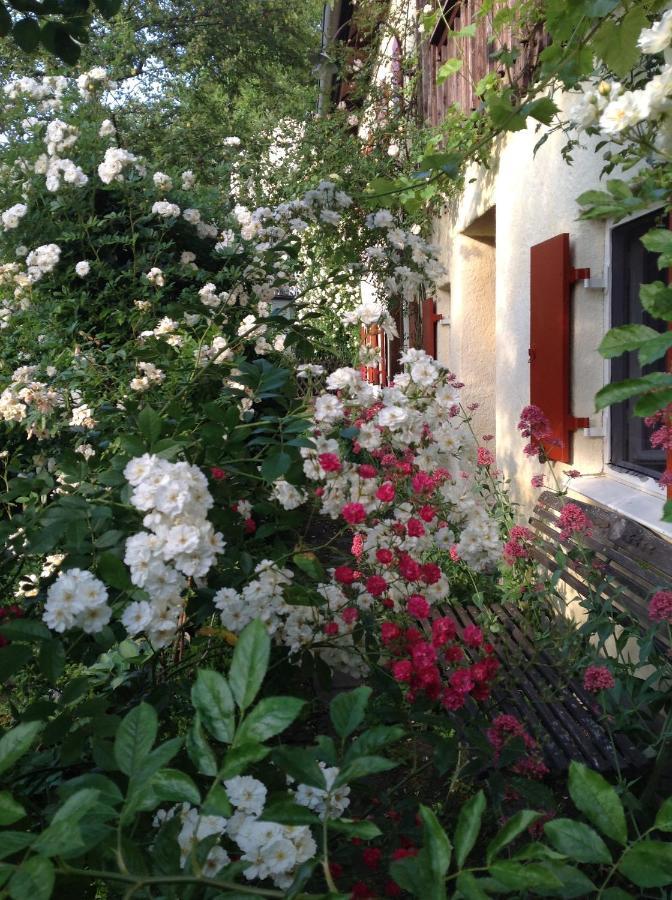 Haus Probst Am See Bed & Breakfast Шондорф-ам-Амерзее Екстериор снимка