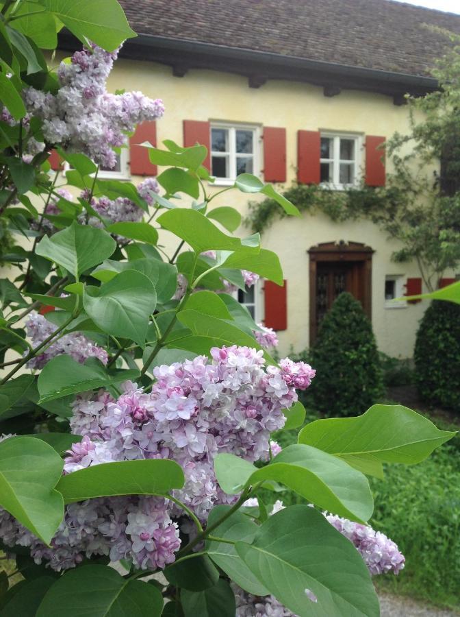 Haus Probst Am See Bed & Breakfast Шондорф-ам-Амерзее Екстериор снимка